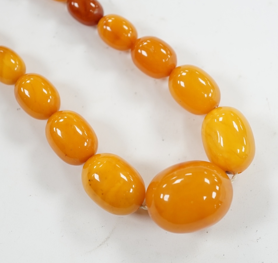 A single strand graduated oval amber bead necklace, 42cm, gross weight 23 grams. Condition - poor to fair